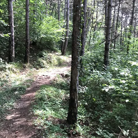 Peler Otel Malcesine